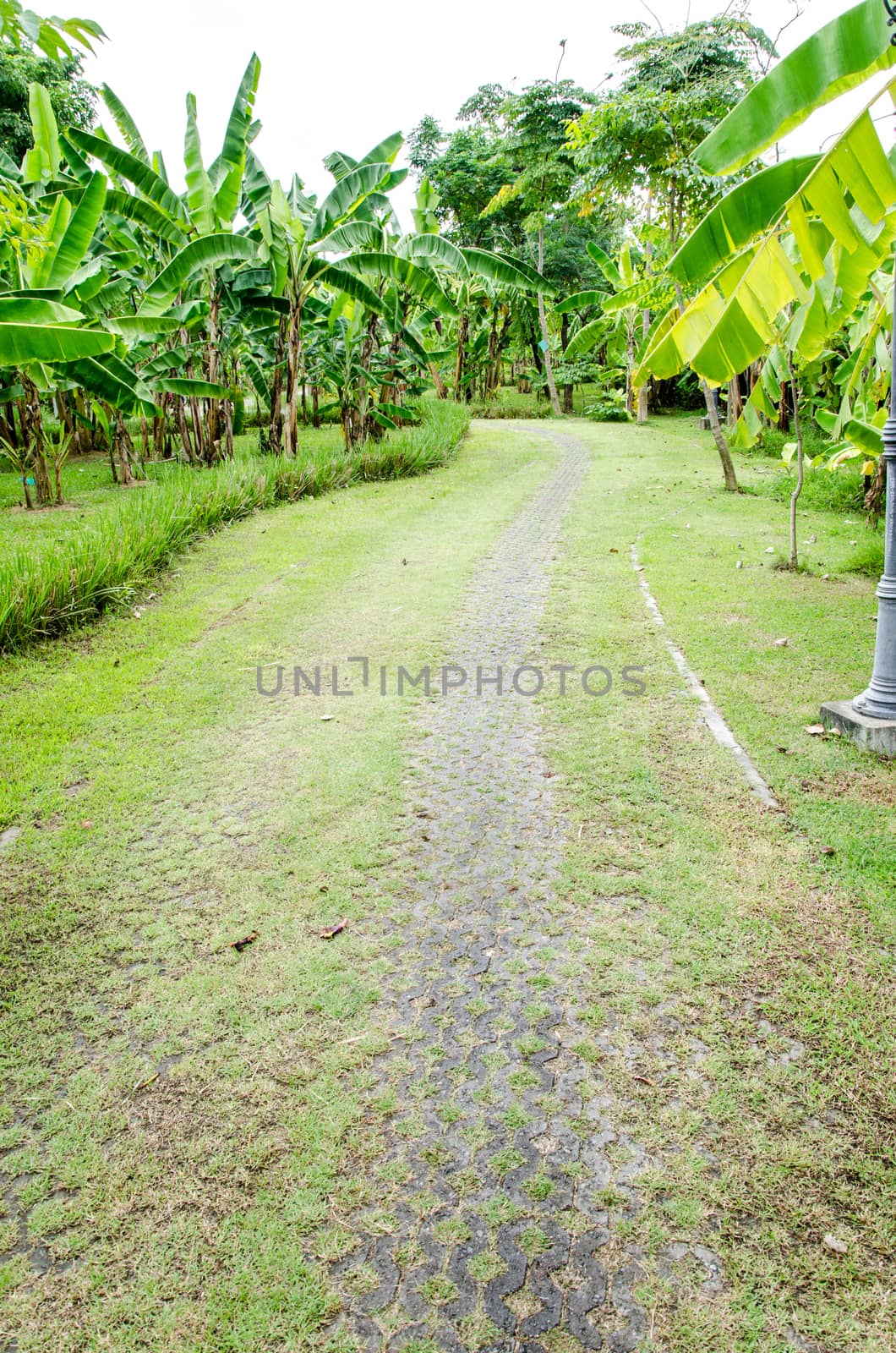 Garden Walkway to the green condition