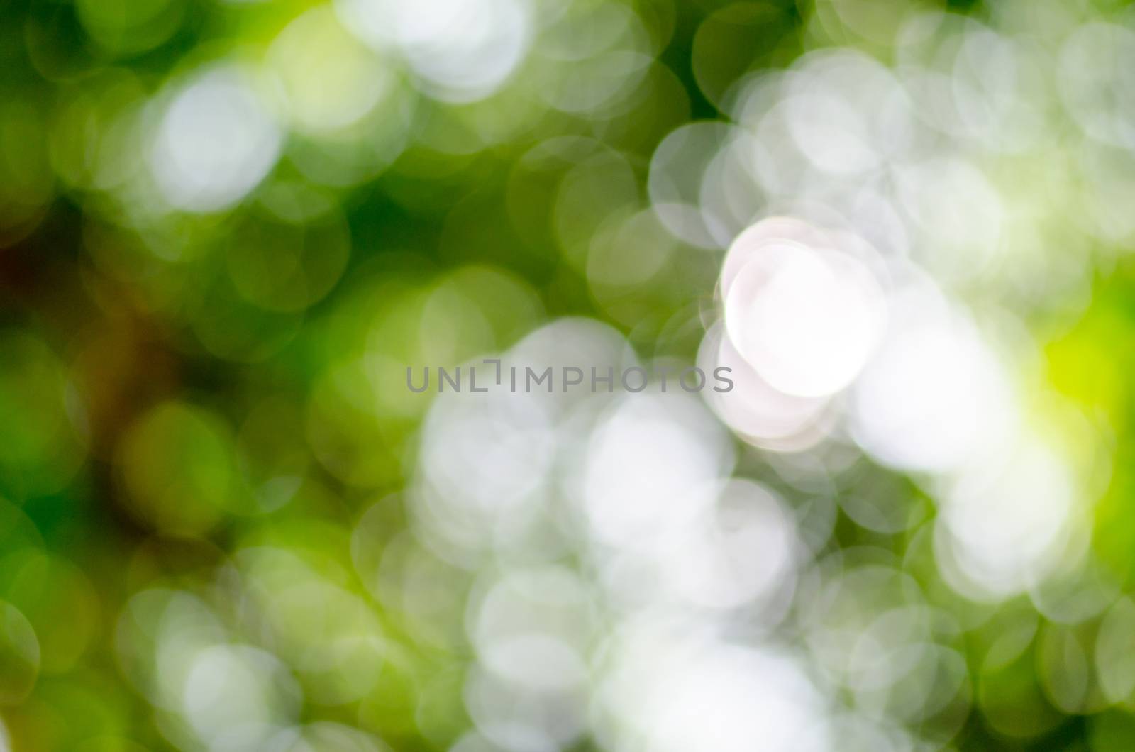 Natural outdoors bokeh in green and yellow tones by gigsuppajit
