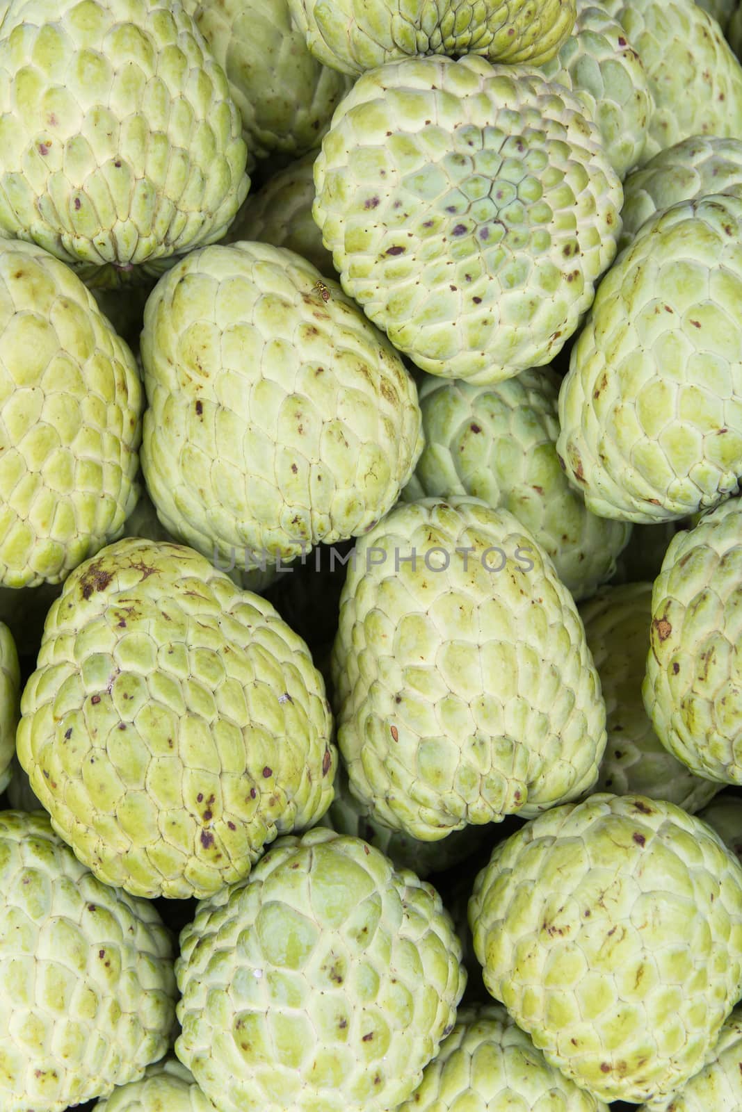 stack of custard apple in market background