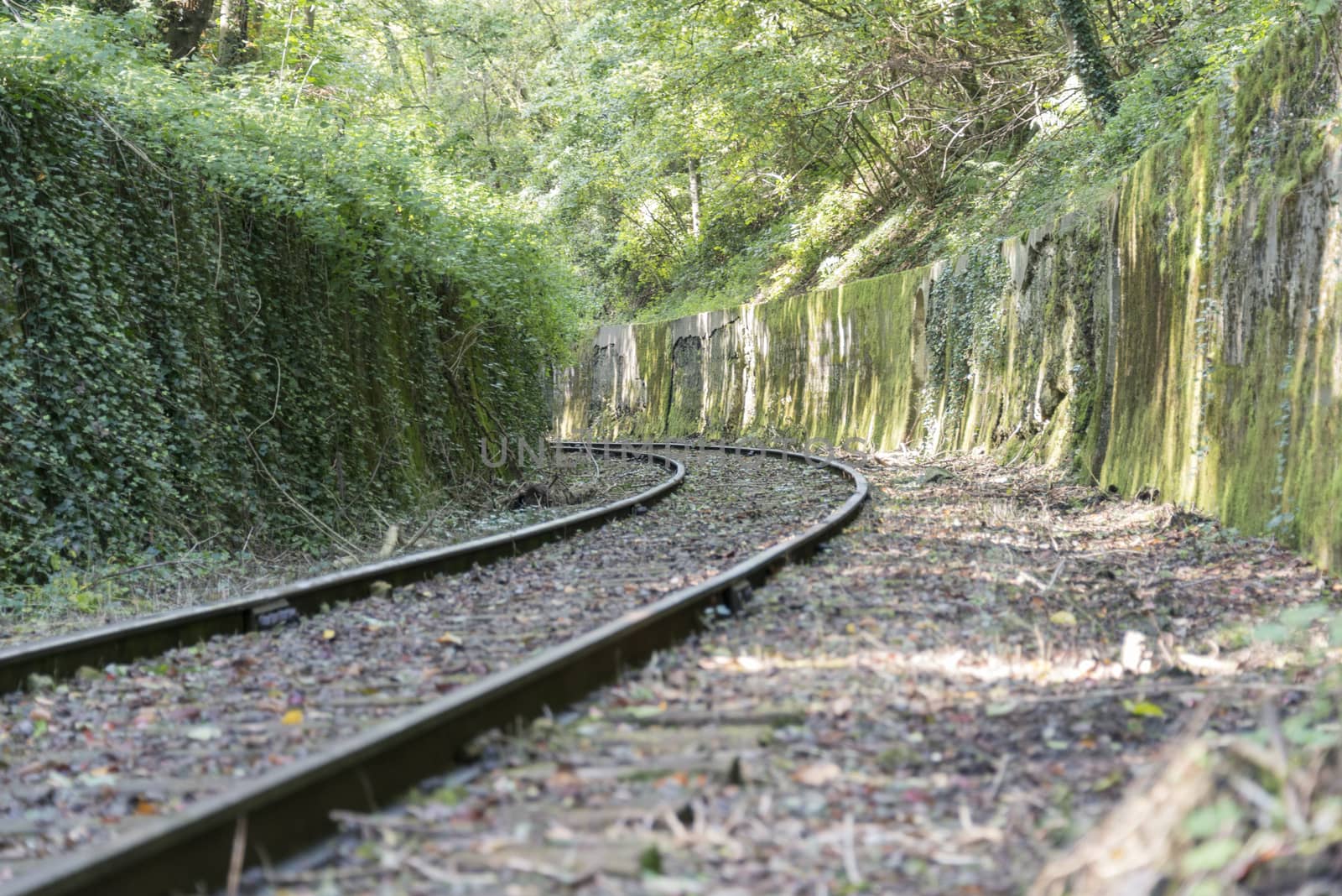 railroad track   by compuinfoto