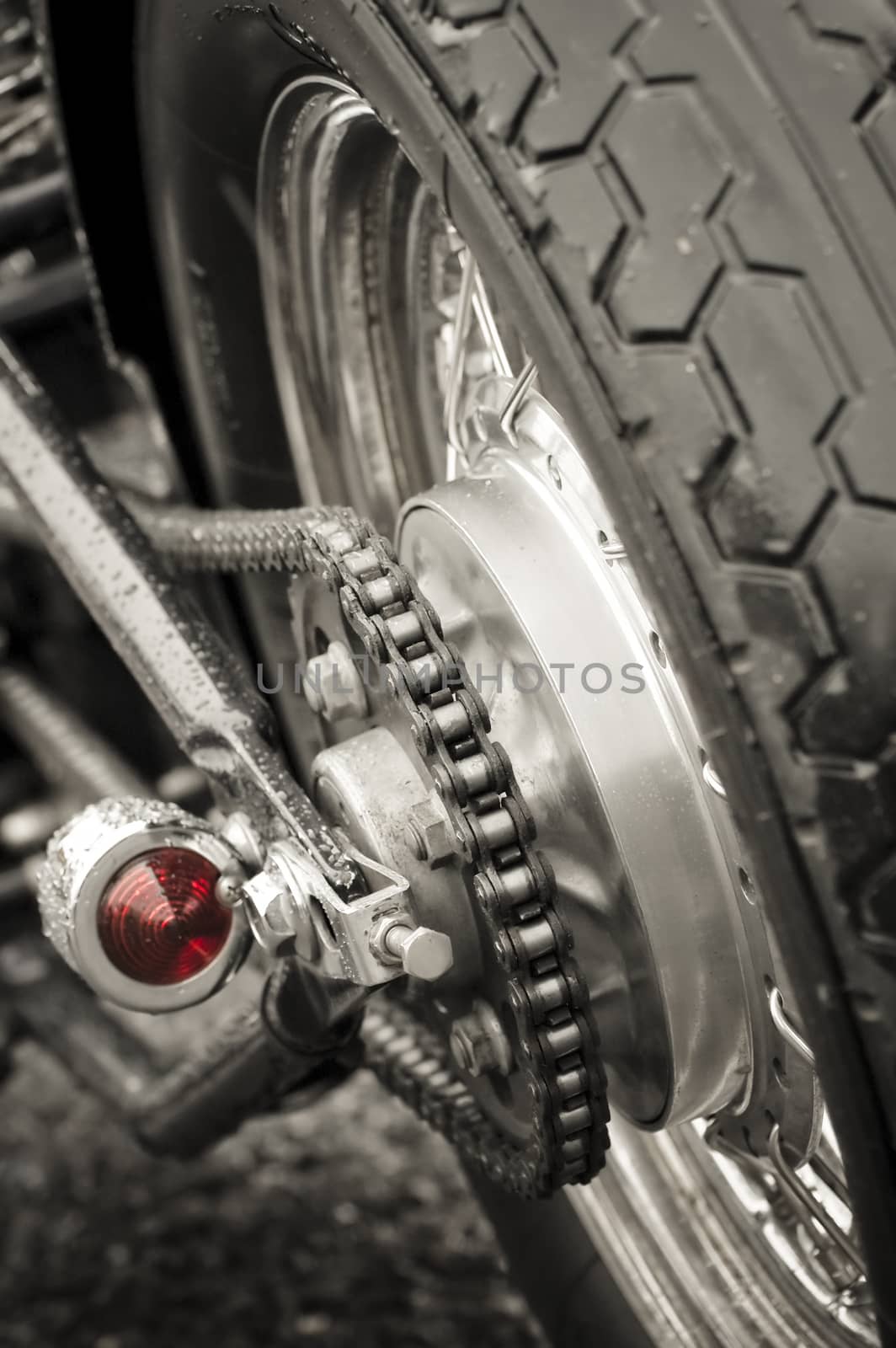 motorcycle chain by nelsonart