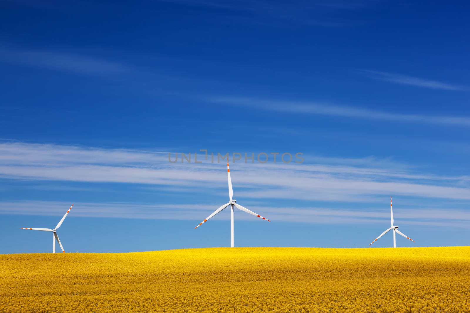 Wind turbines on spring field. Alternative, clean and natural source of energy by photocreo