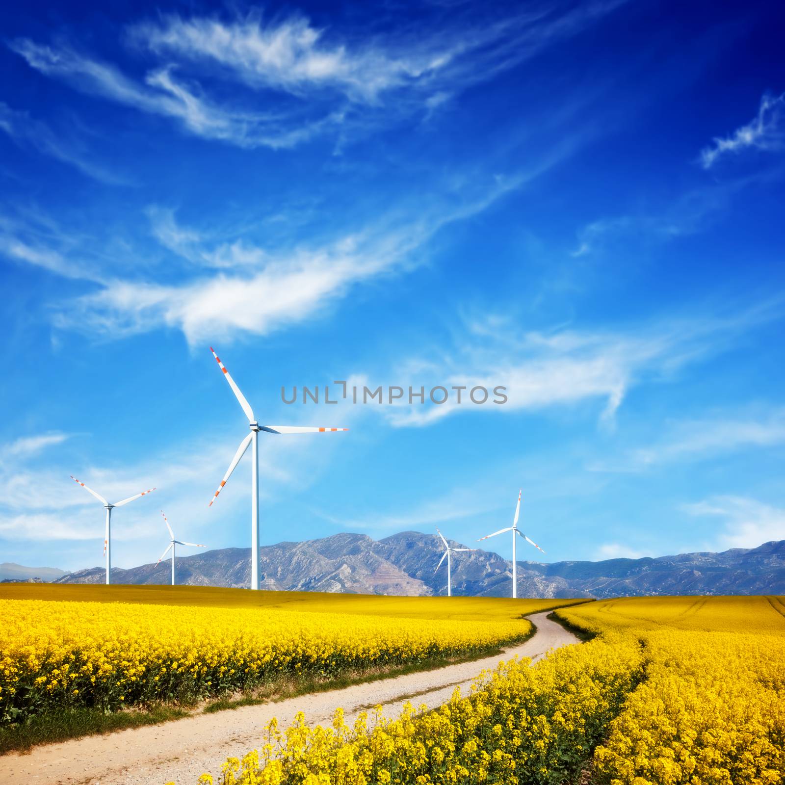 Wind turbines on spring field. Alternative, clean and natural source of energy by photocreo