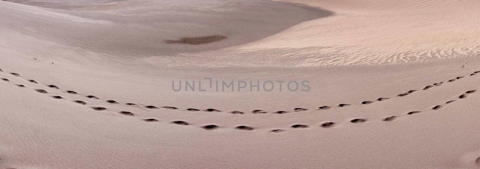 Great Sand Dunes National Park by tang90246