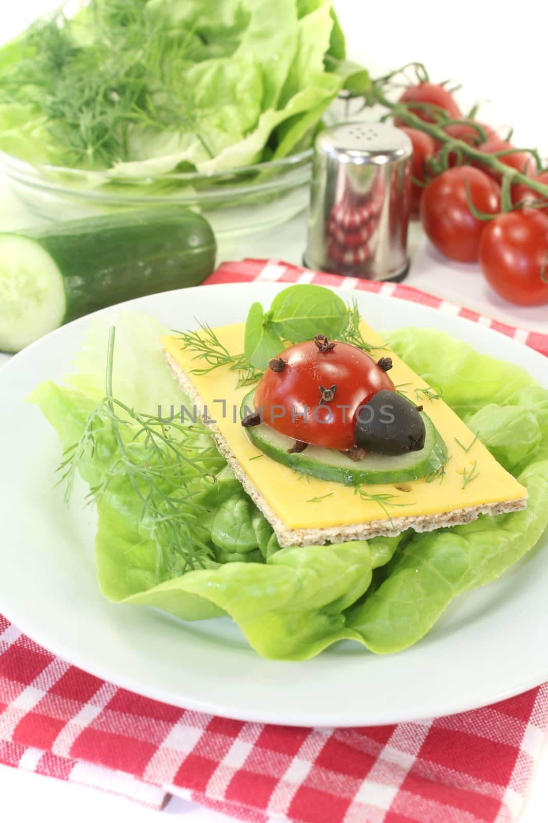 Crispbread with cheese, lettuce and ladybug on a light background