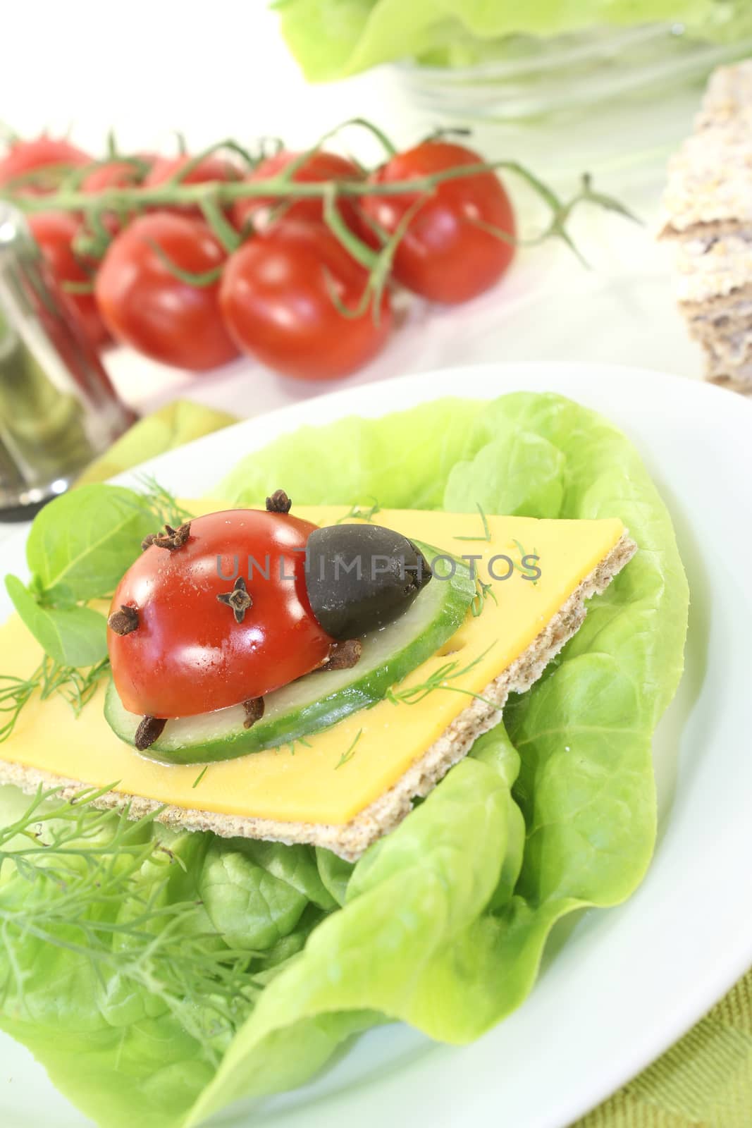 Crispbread with cheese, dill and ladybug on a light background
