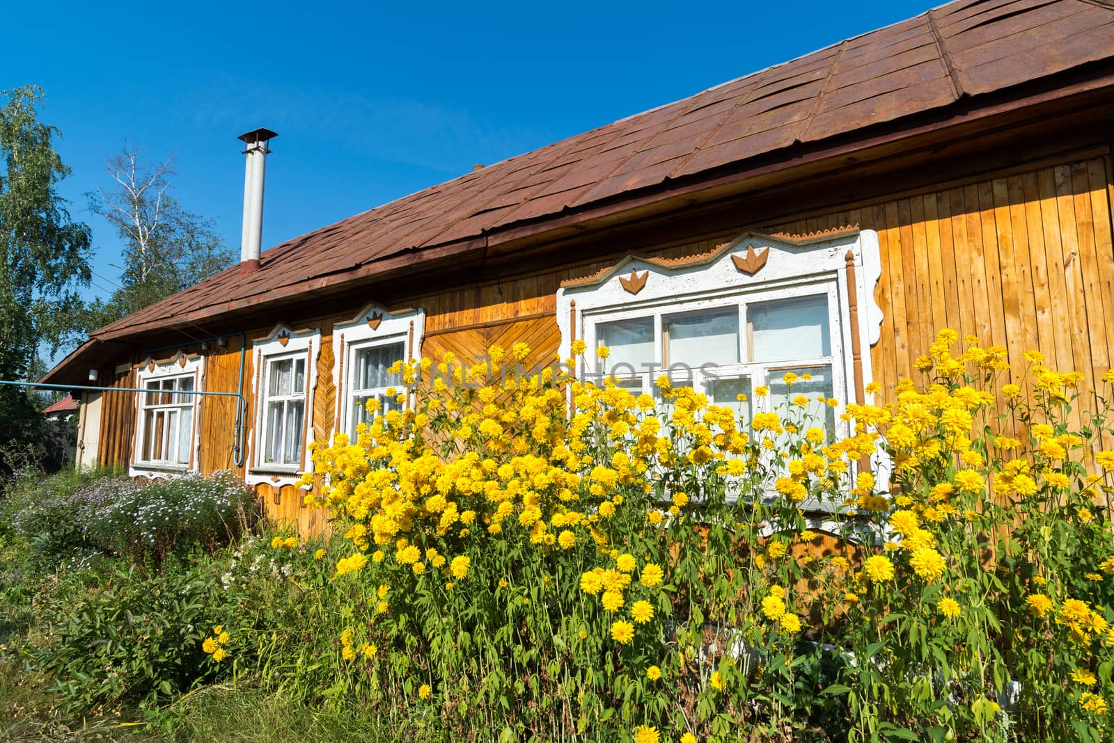 Yellow flowers in front of a village house