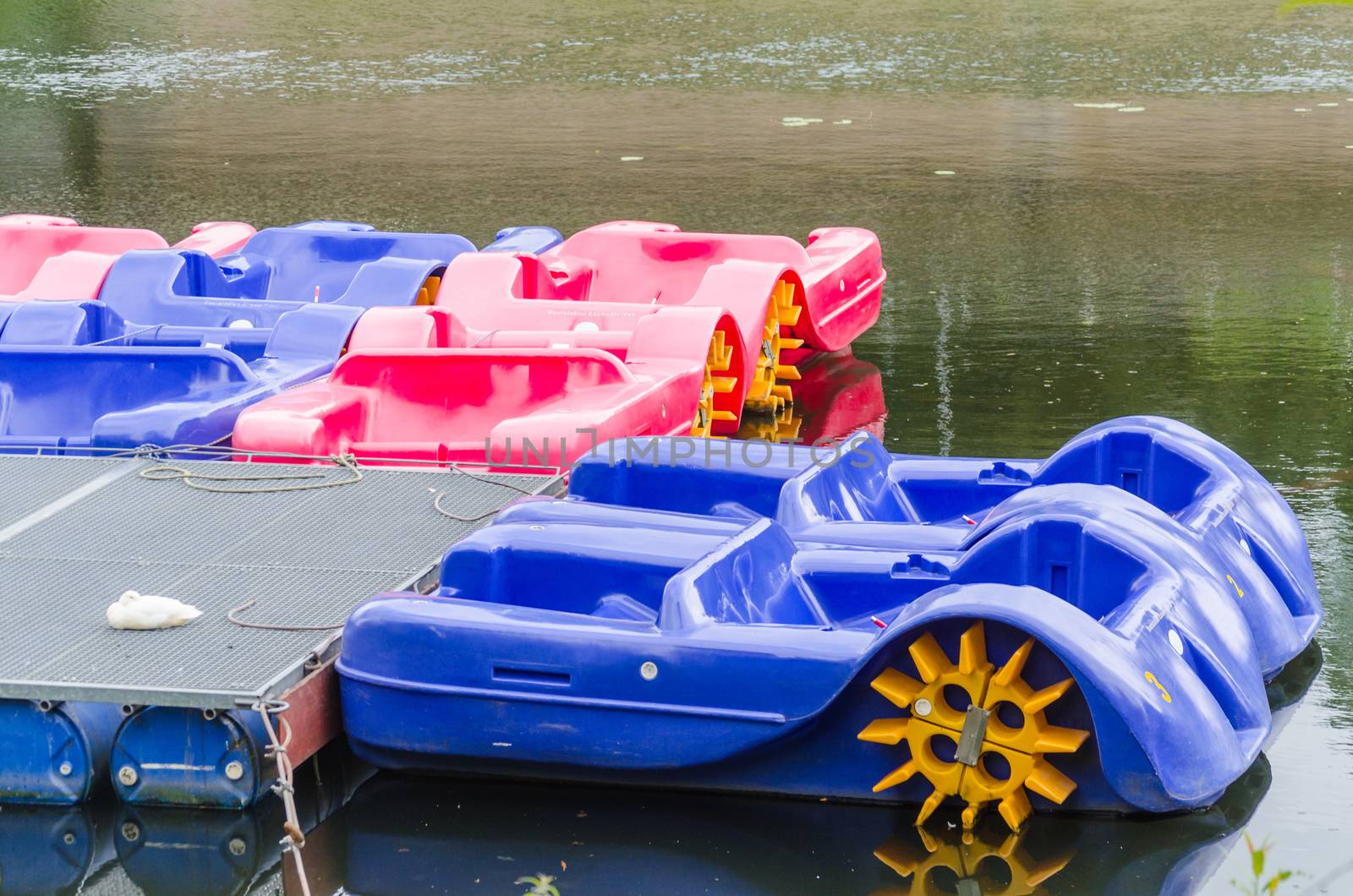 Red blue pedal boats at the dock for hire on the Ruhr in Essen Werden