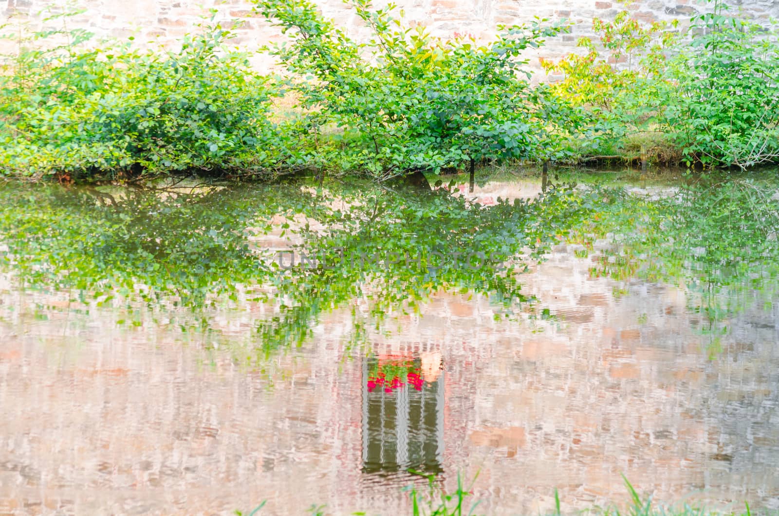 Historic window of a castle with stained glass is reflected in the water of the moat.