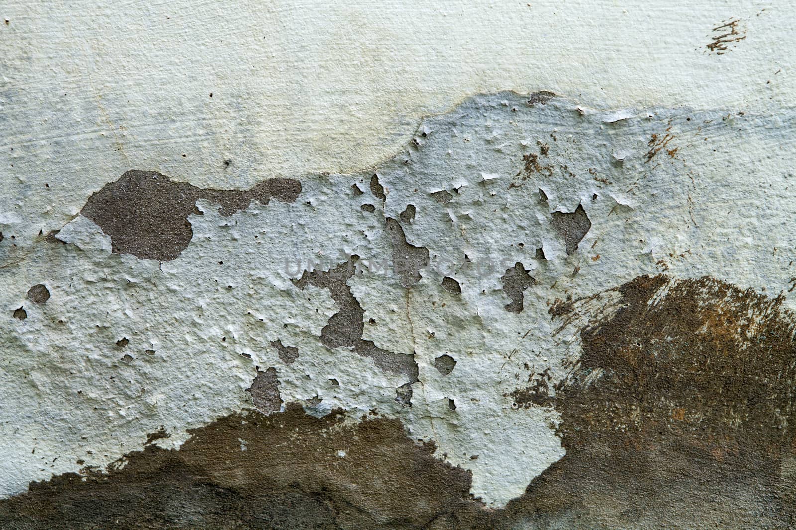 Paint peeling off the walls