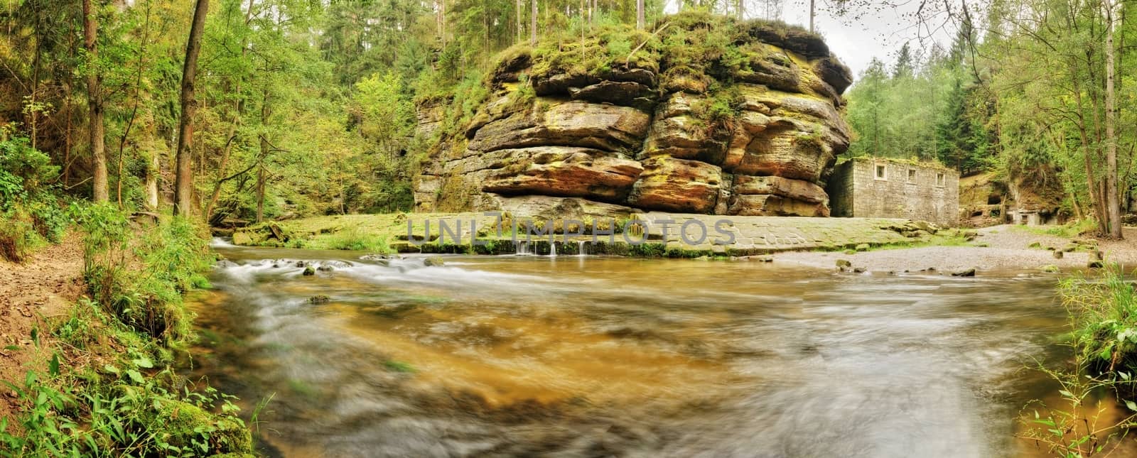 Beautiful river Kamenice flowing through the wild valley 