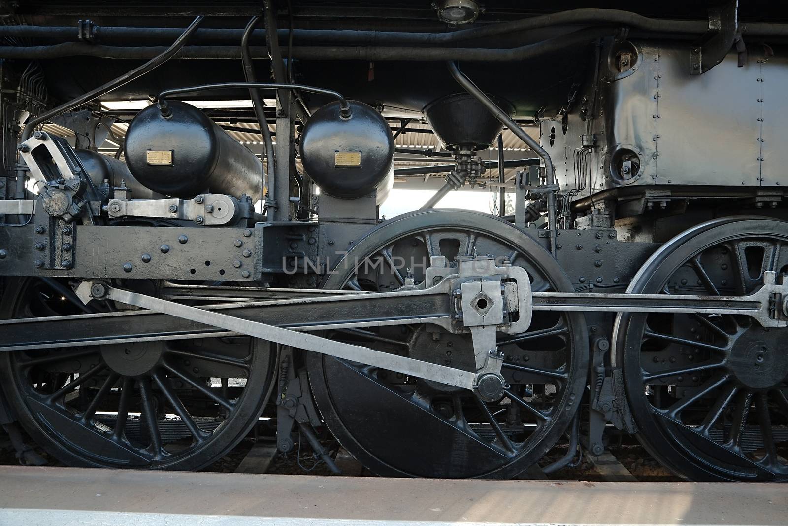 Steam locomotive rolling by close