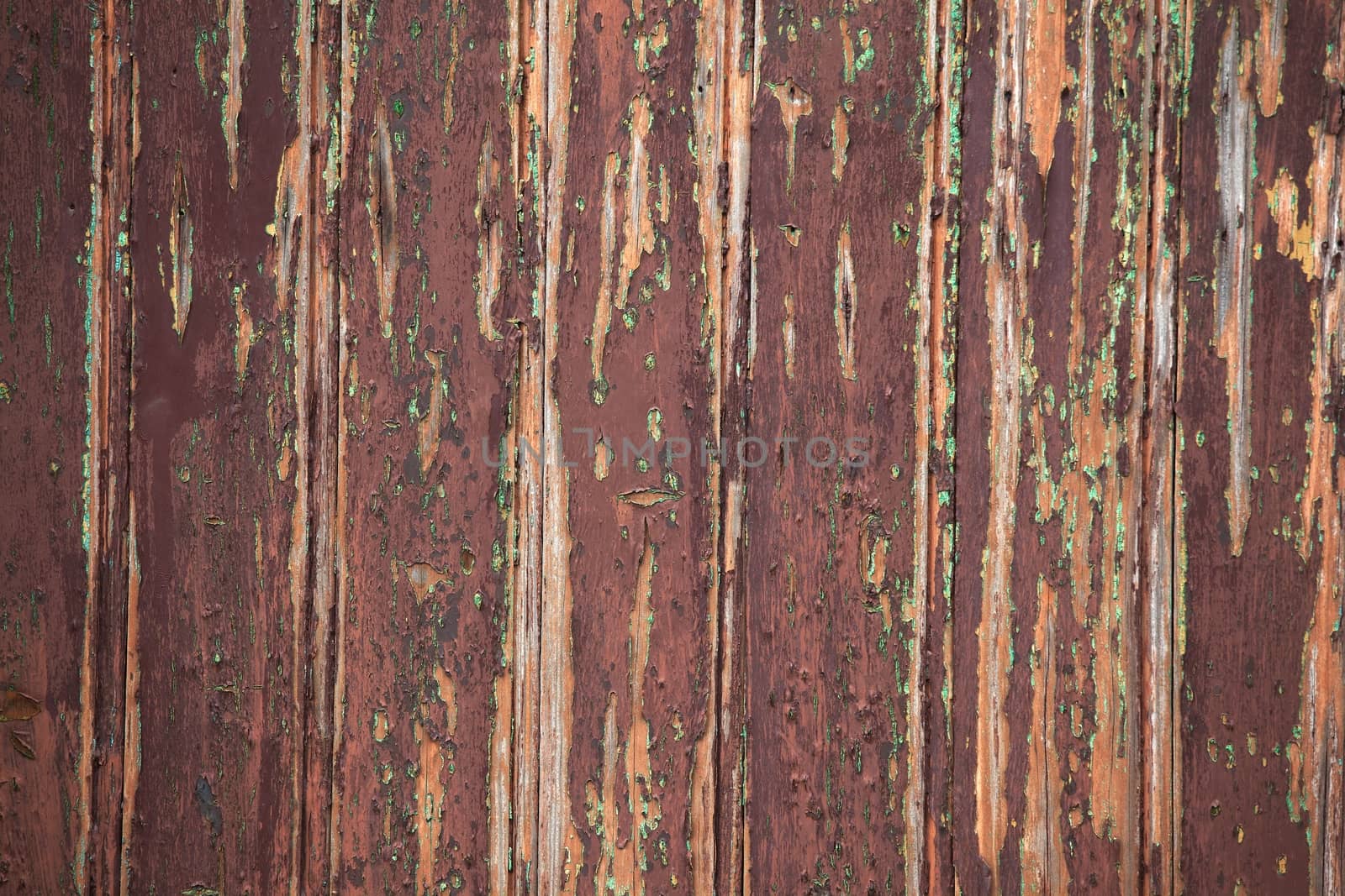 Wood background texture close up