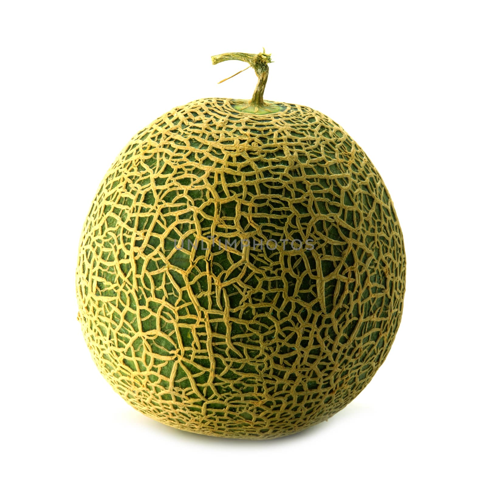 Netted melon on white background by Noppharat_th