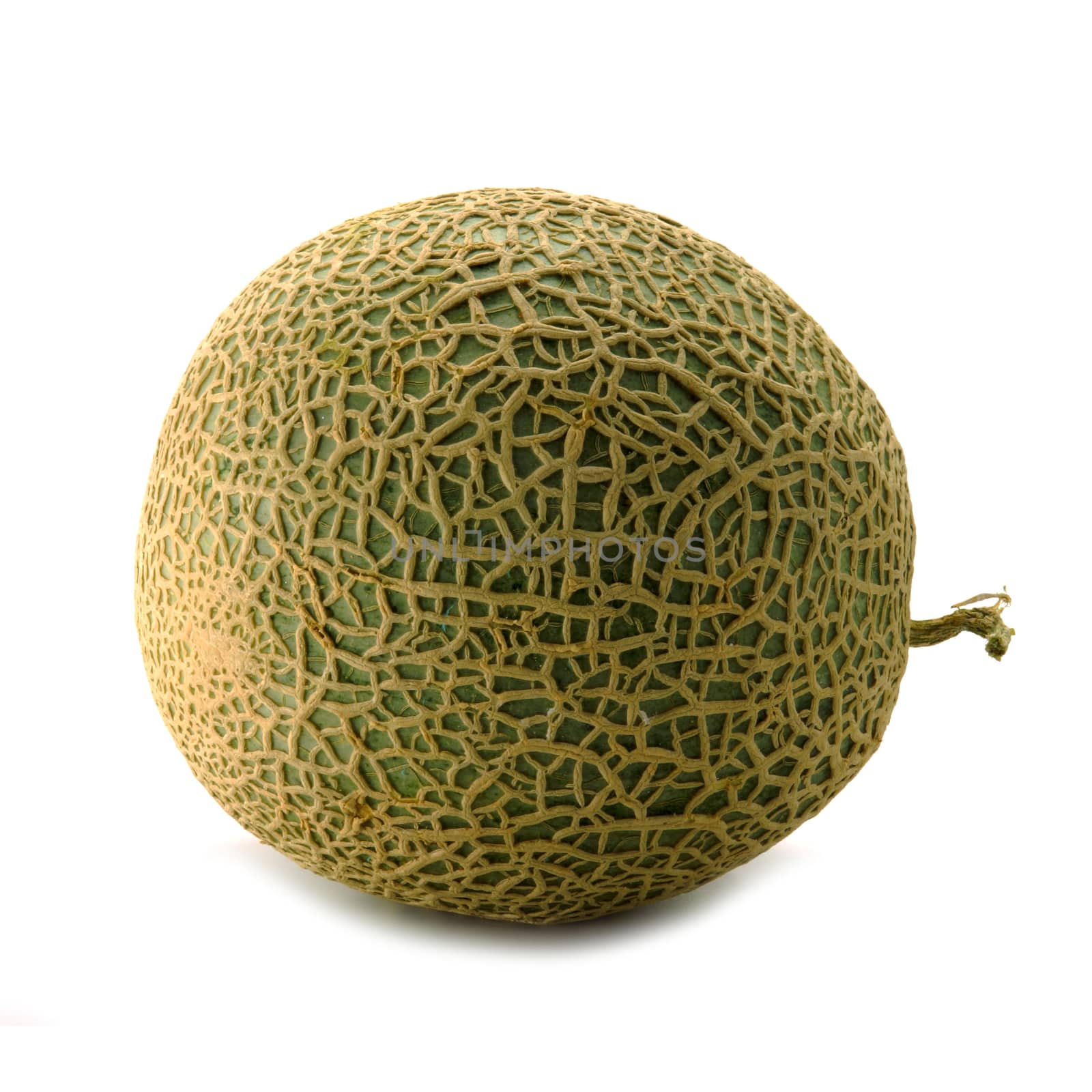 Netted melon on white background by Noppharat_th