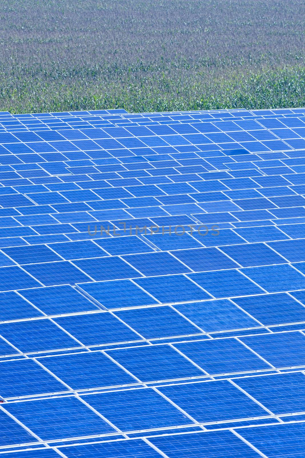 czech republic, bohemia - sunlight collectors at solar panel station