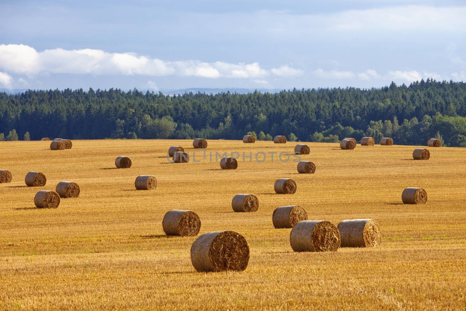 bales of hay by courtyardpix