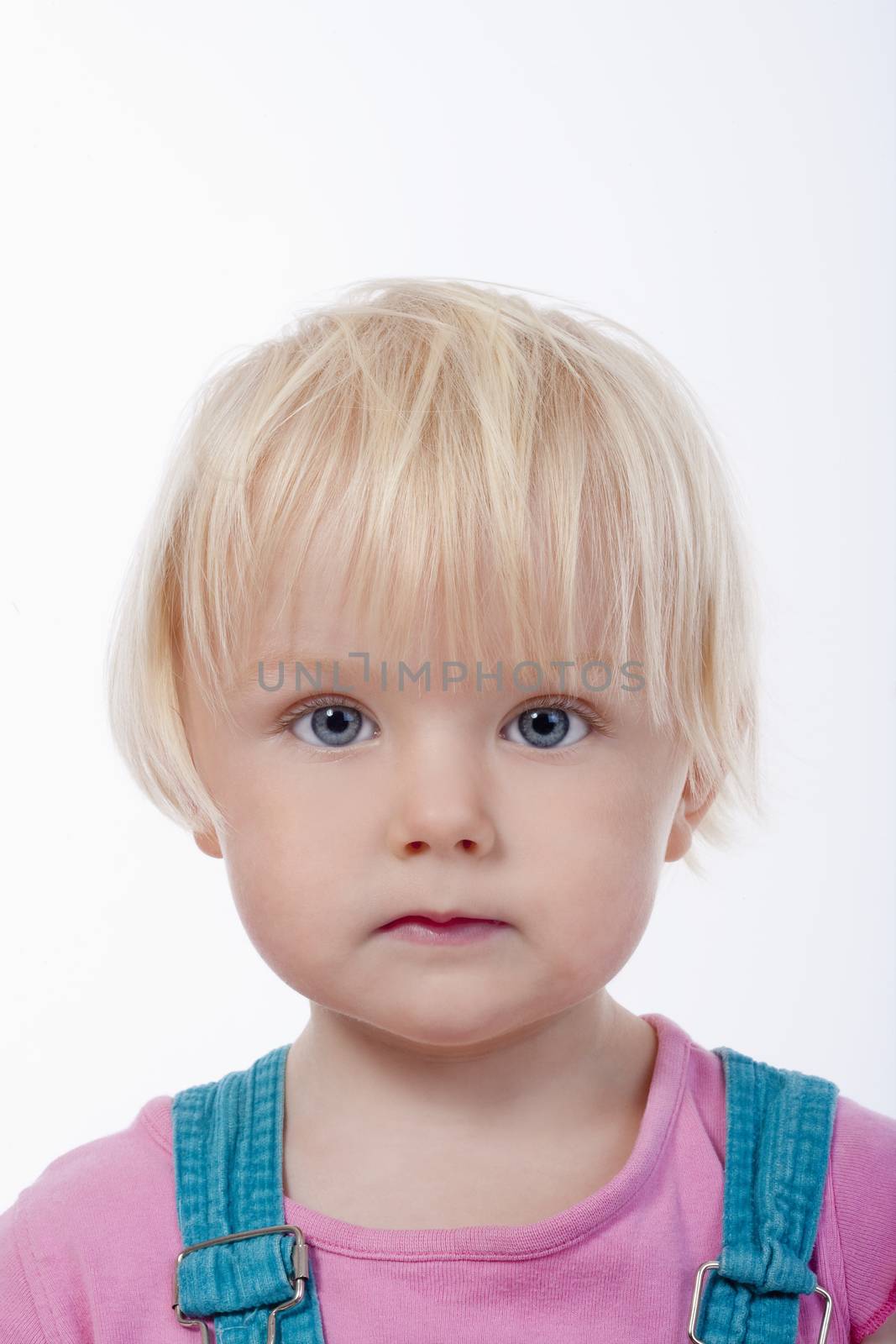 portrait of a little girl with blond hair and blue eyes - isolated on white