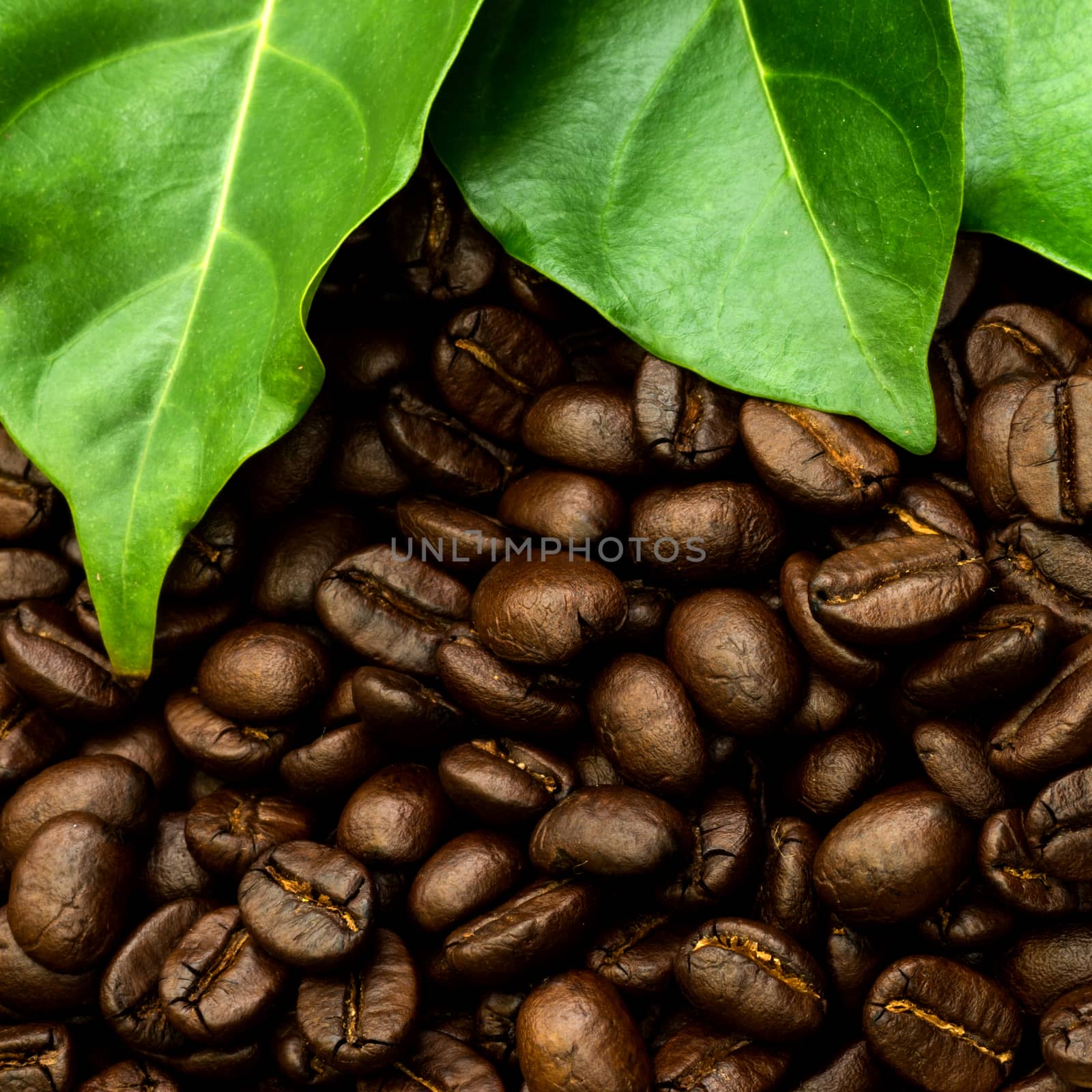 Coffee beans on the wooden by Noppharat_th