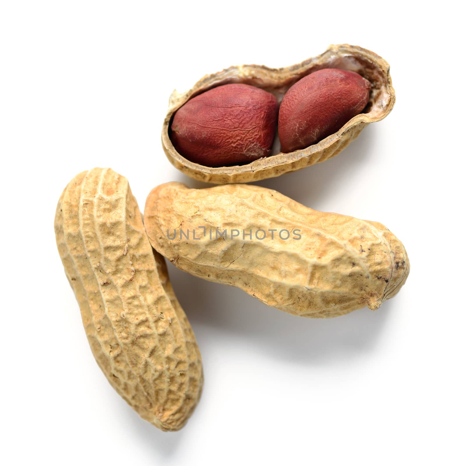 peanut by antpkr