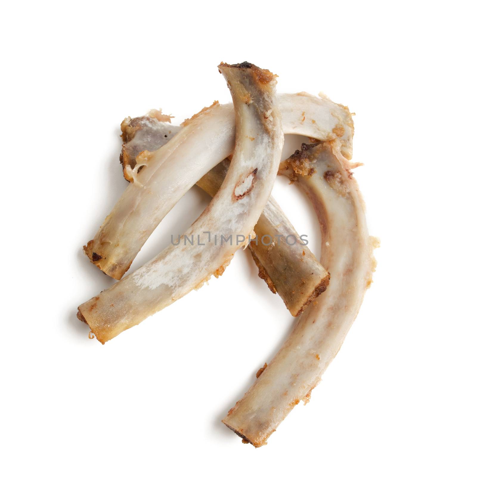 Pork rib bones on white background
