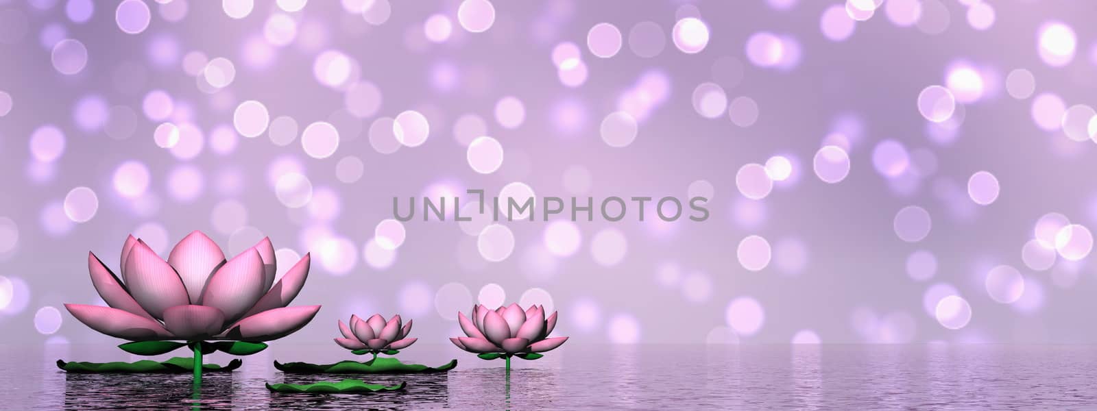 Lily flowers and leaves upon water in violet bokeh background - 3D render