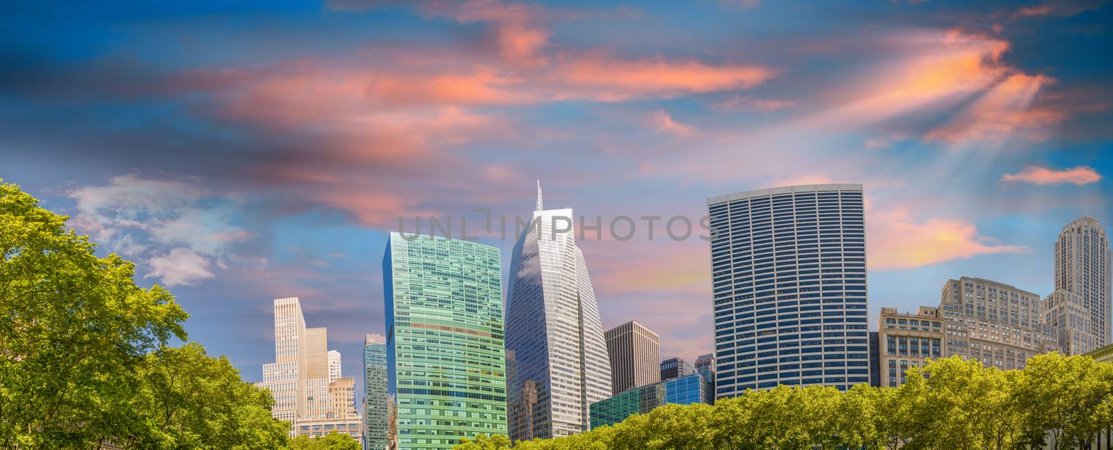 Tall skyscrapers over Bryant Park trees, Manhattan - New York City.