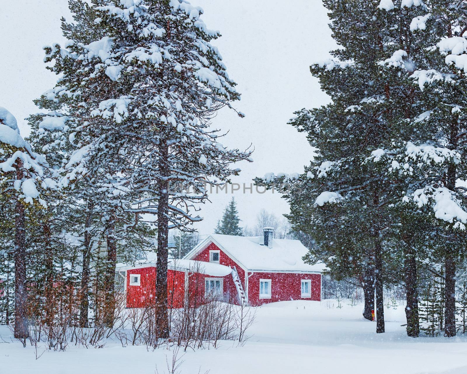 Red wooden Finnish house in winter forest covered with snow