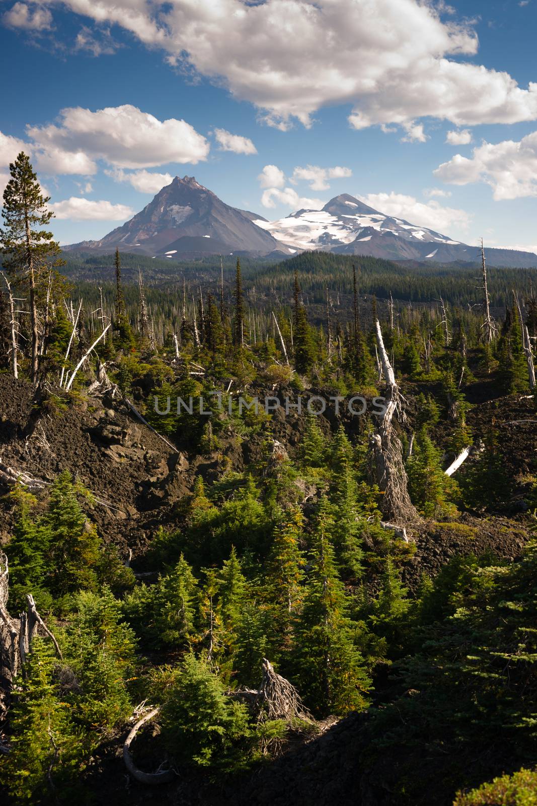 McKenzie Pass Lava Fields Three Sisters Little Brother Mountains by ChrisBoswell