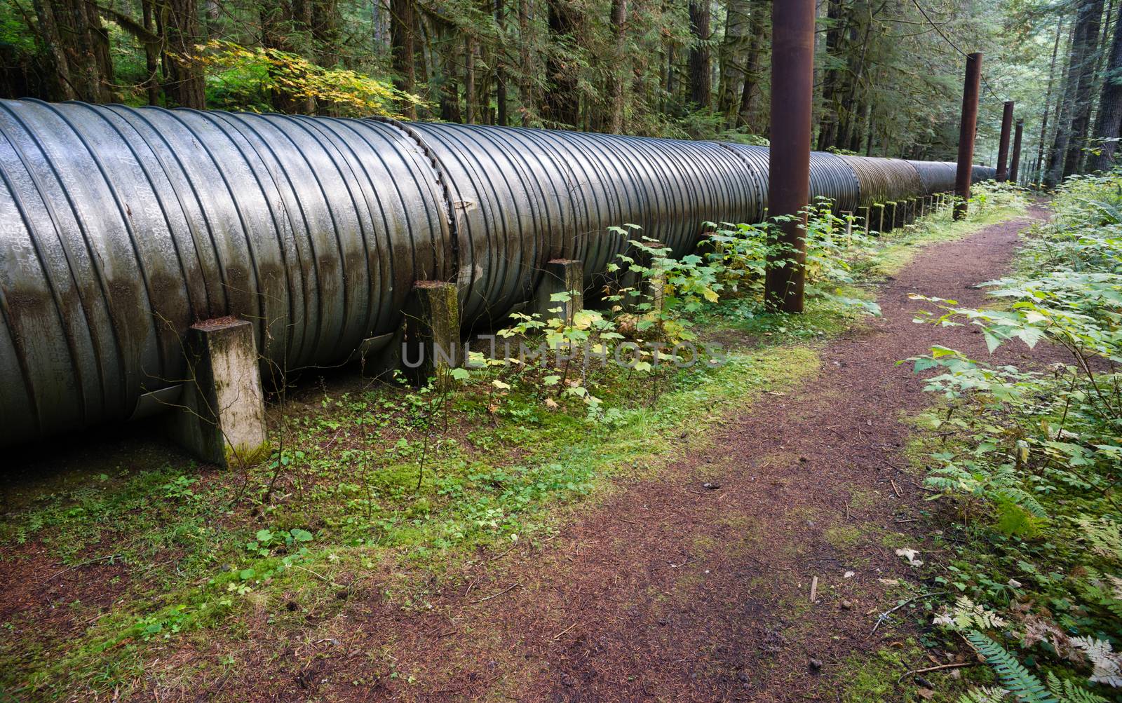 A pipeline carries water to the generator room for electricity