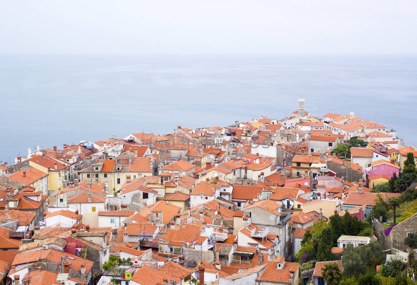 old town Piran - beautiful Slovenian adriatic coast by miradrozdowski