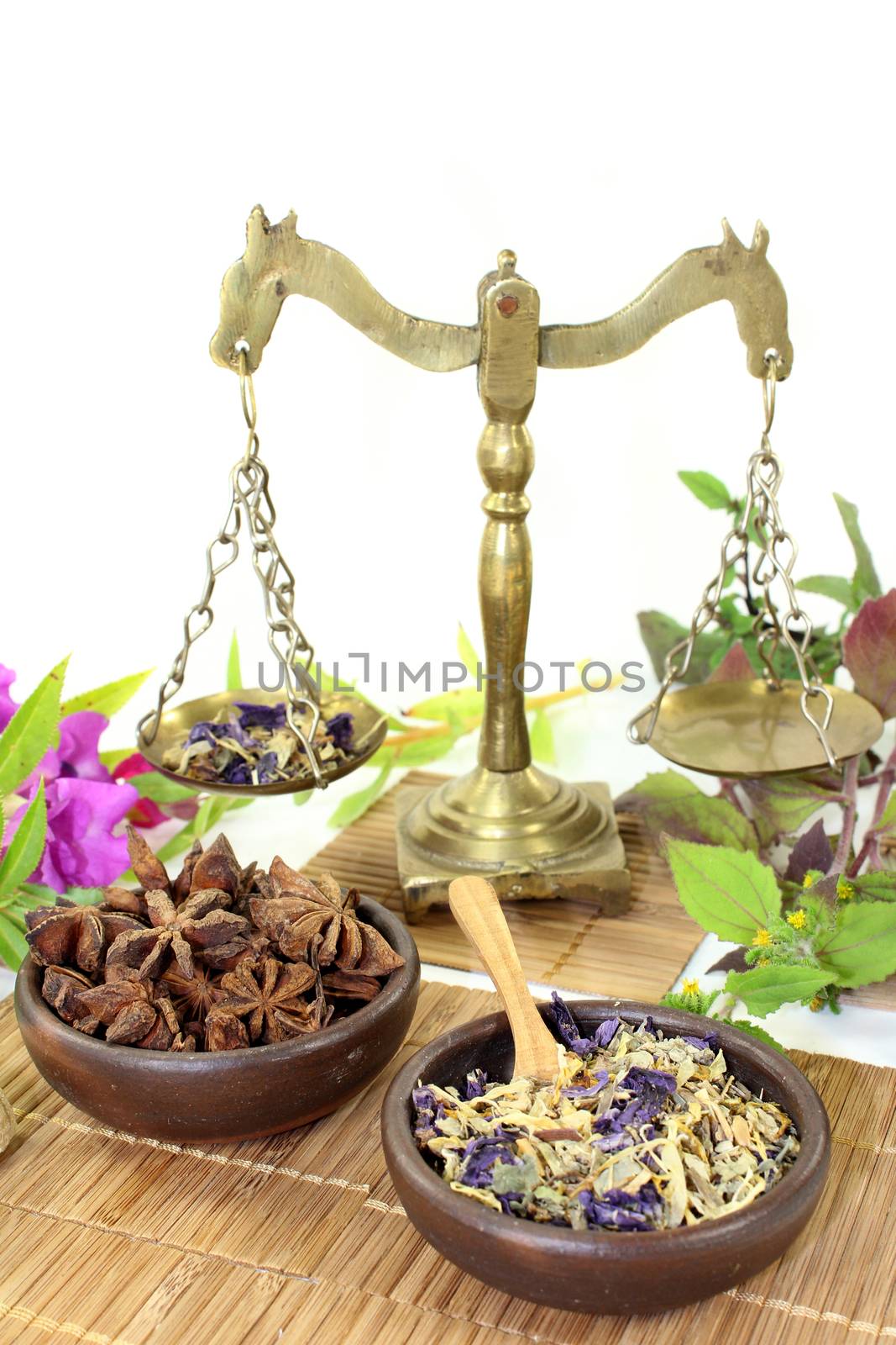 various Chinese remedies on a white background