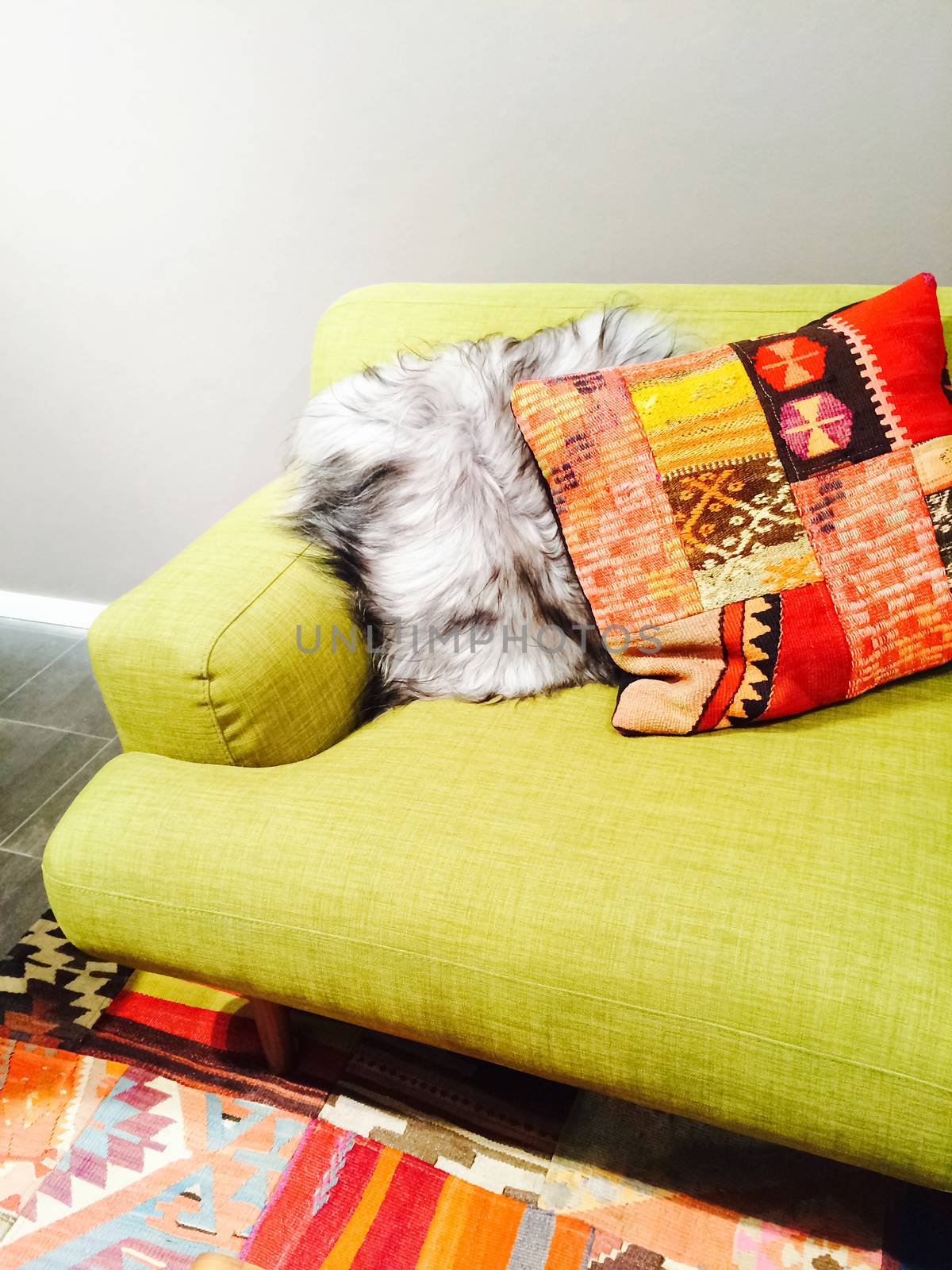 Bright green sofa with colorful cushions in the living room.