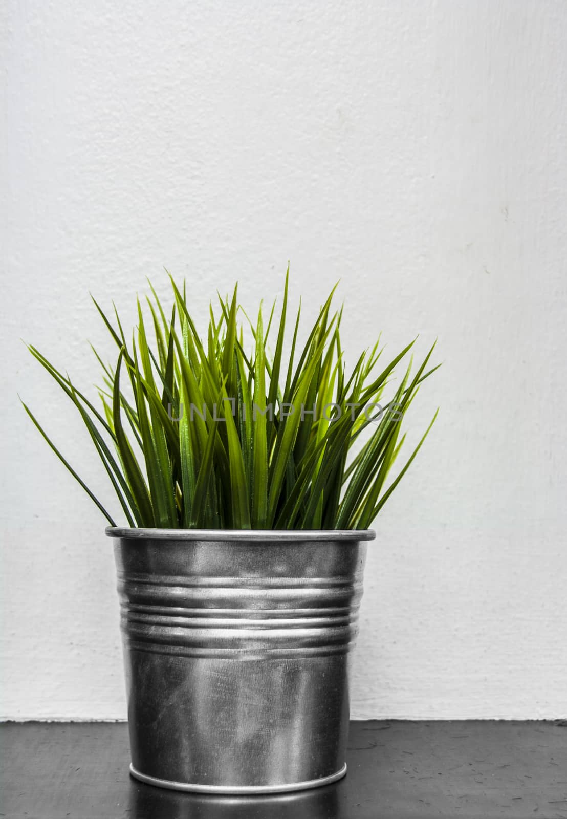 close up green grass texture in  iron can for decorate  the garden outdoor or interior. shooting on gray wall and dark floor. 
