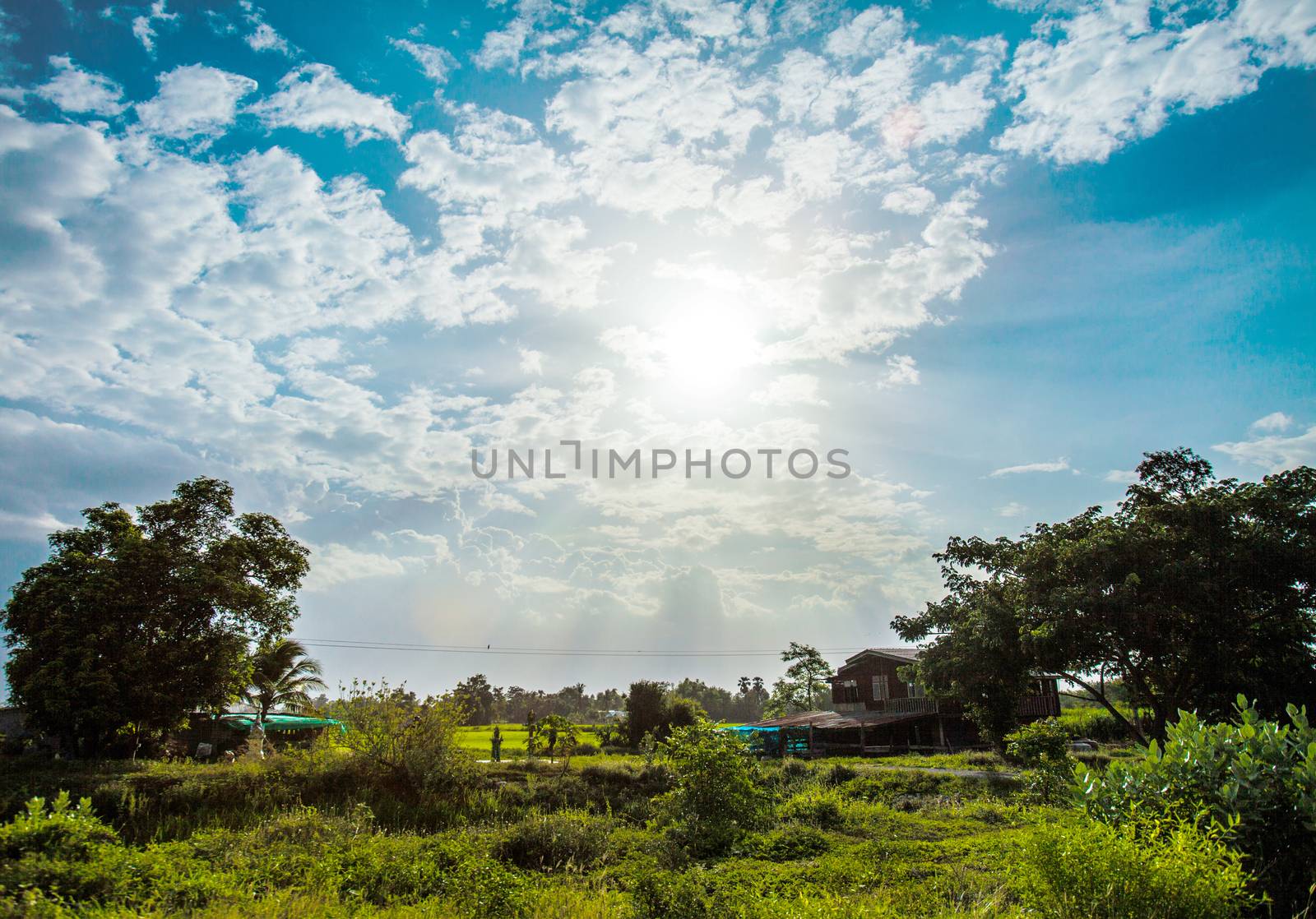 shining sun with lens flare. Blue sky with clouds in rural life  by yanukit