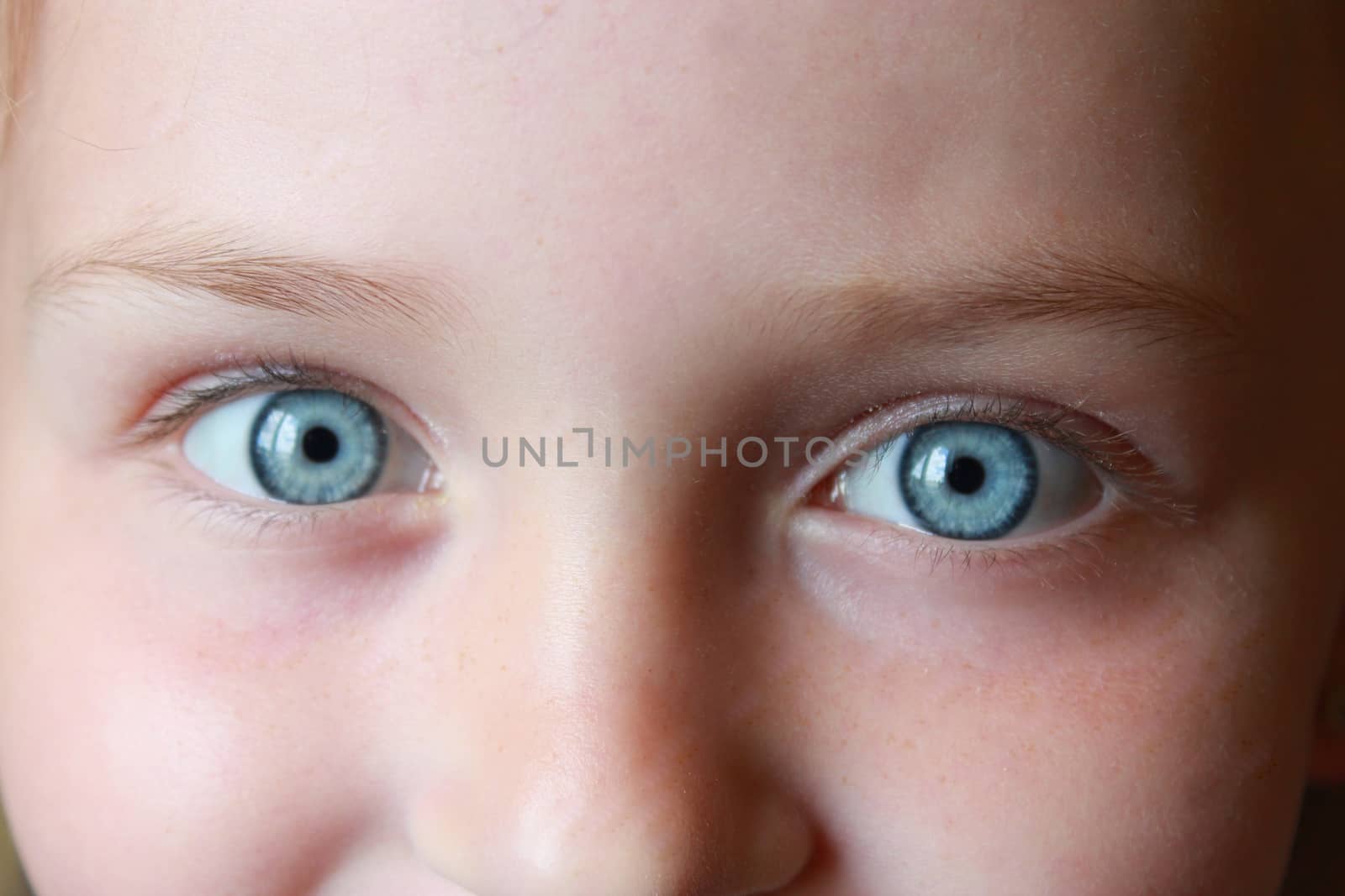 little girl's blue eyes staring up and smiling