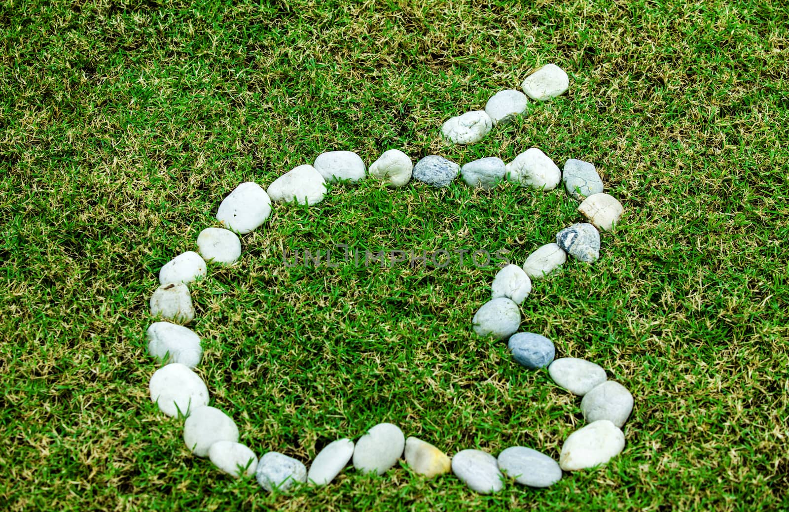 arranging white stone on the green grass in apple logo concept for background