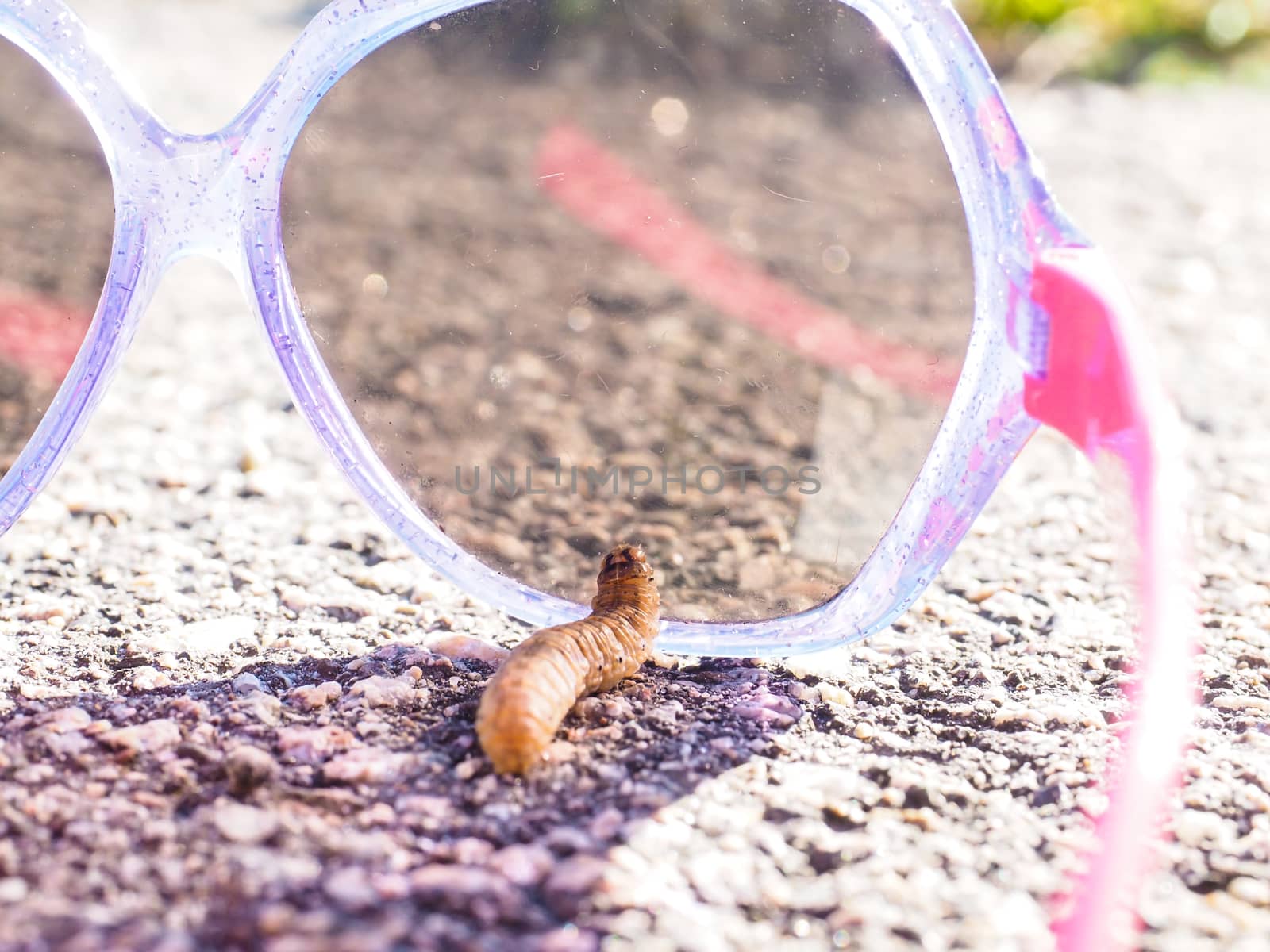 Larva and sunglasses by Arvebettum