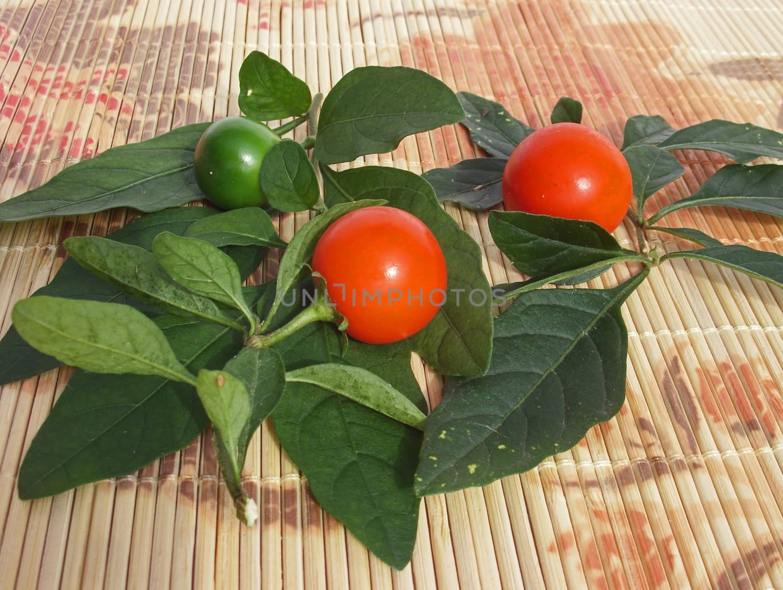 Orange and green chilies