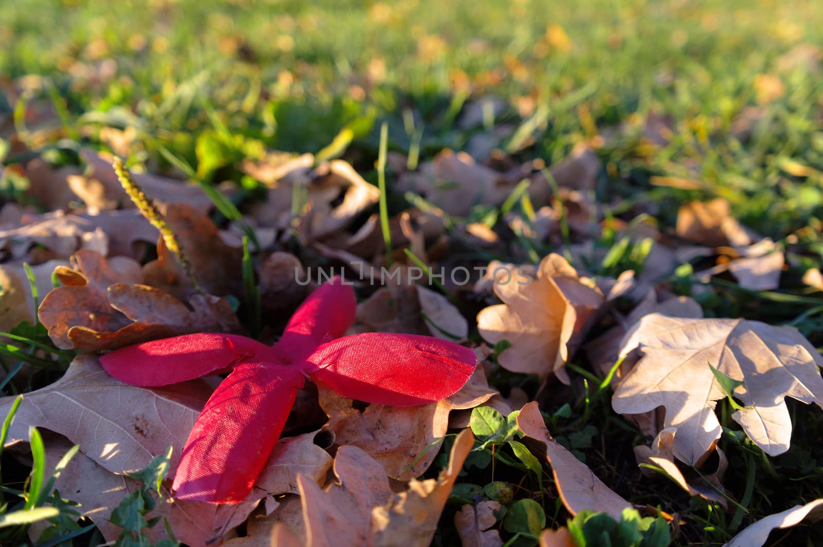 red artificial flower between dried leafs