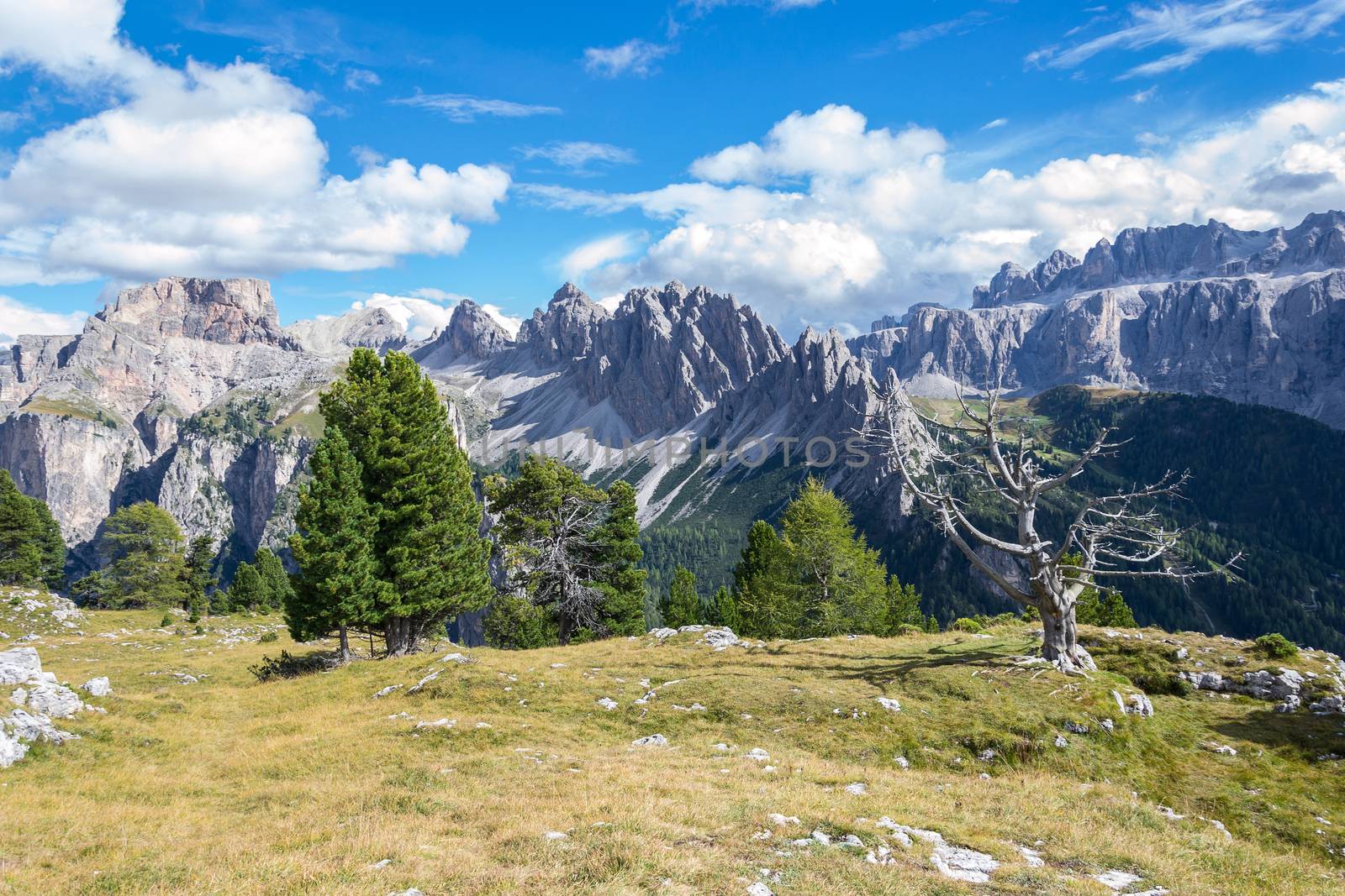 Italian Alps in Val Badia, Natural Park of Puez-Odle