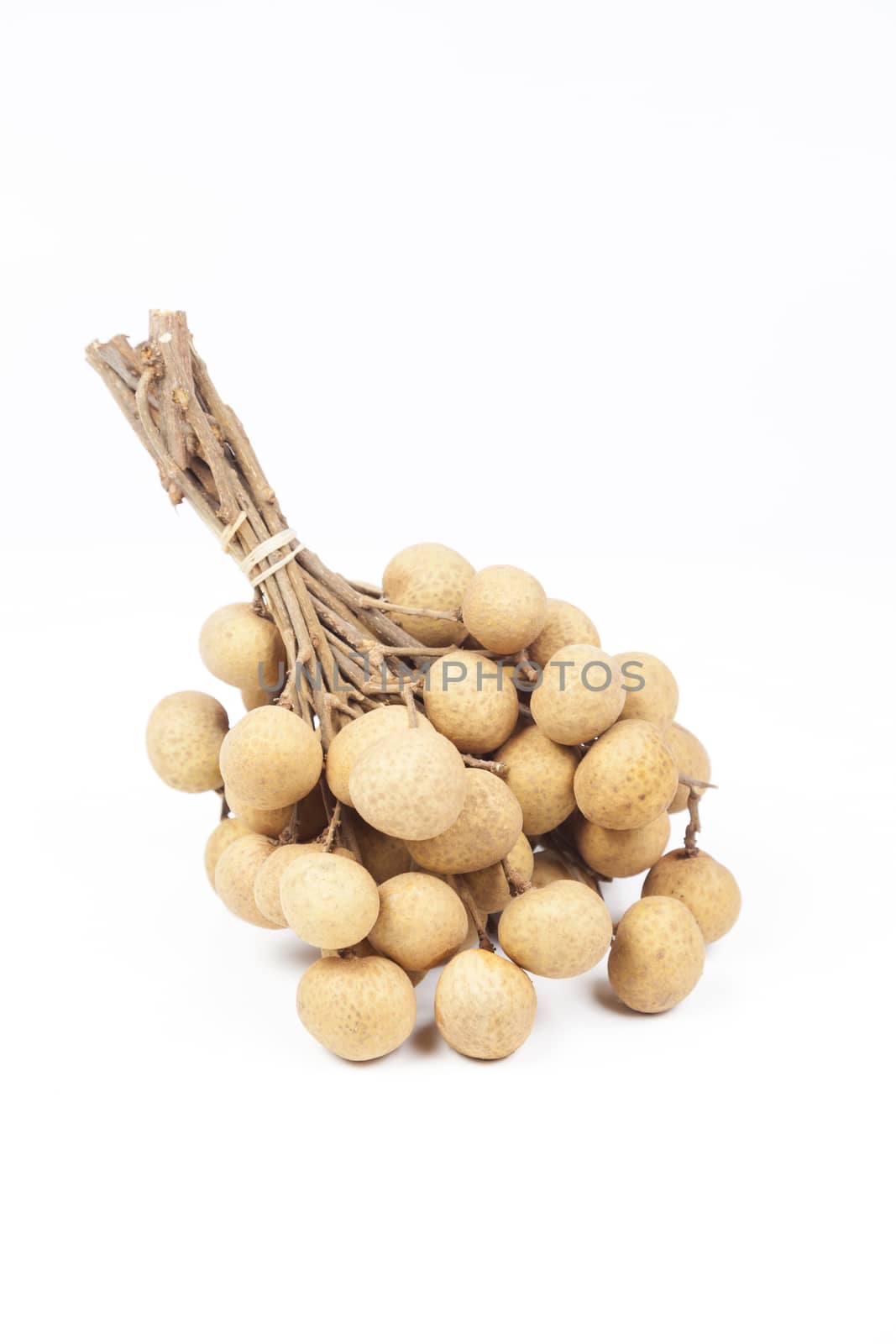 Longan on white isolated background in studio.fruit is sweet.