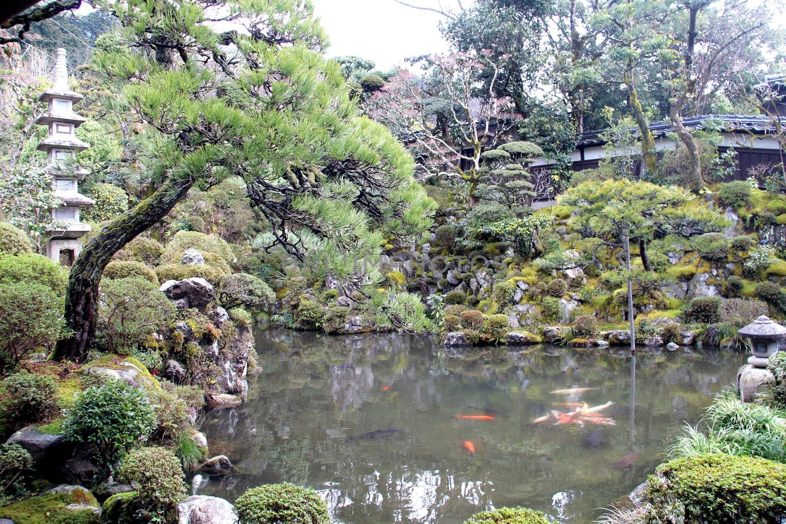 Japanese temple garden by Dermot68