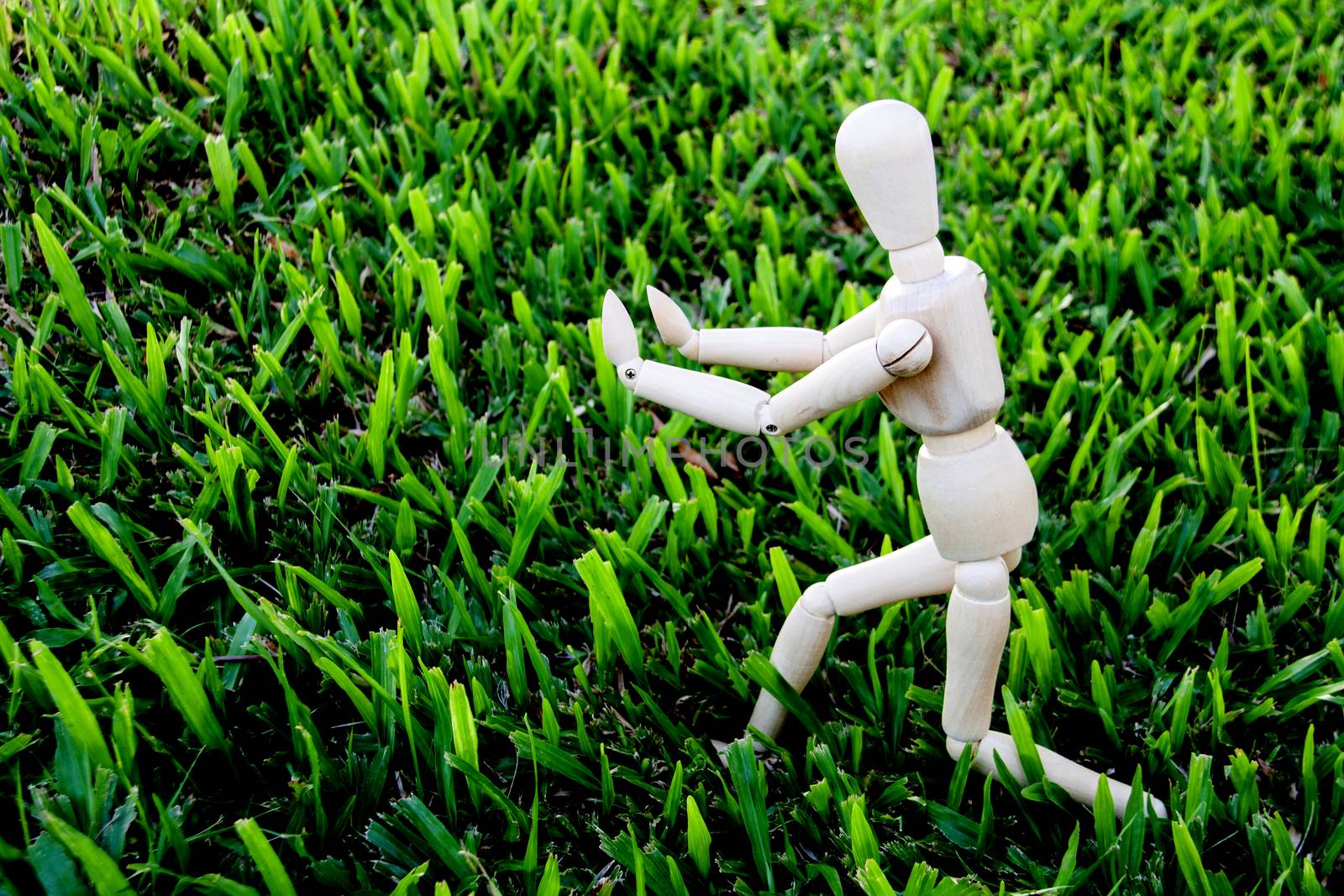 wood model pose Tai ji for exercise concept on floor