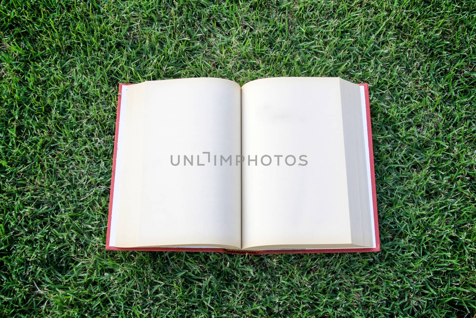 clock up open blank book on the grass field  by yanukit