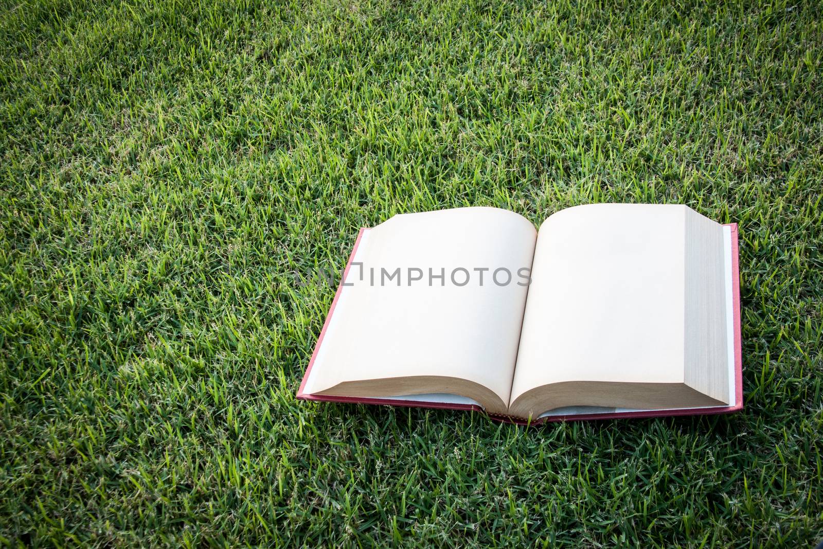 clock up open vintage blank book on the grass field 