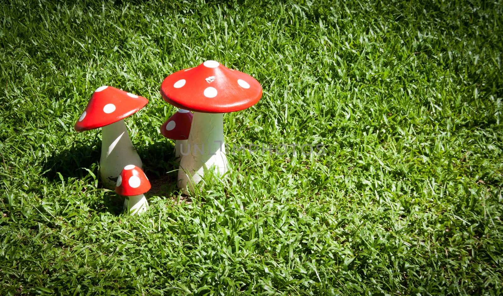 red mushroom for deco garden