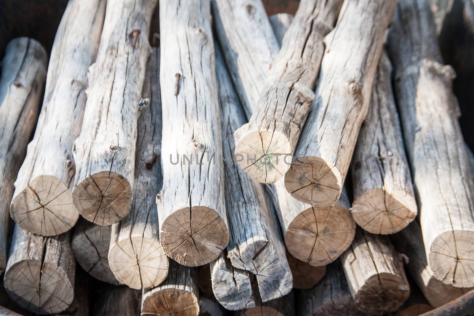 close up cutting log  by yanukit