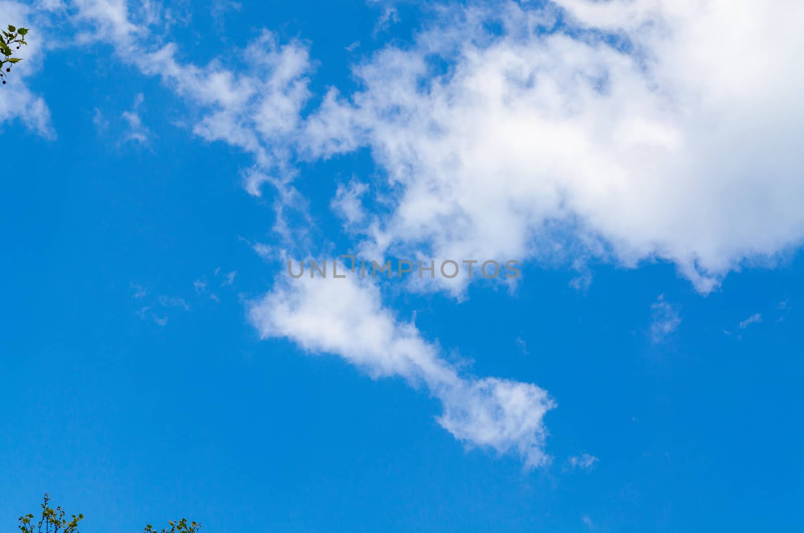 Beautiful blue spring sky with white clouds.
