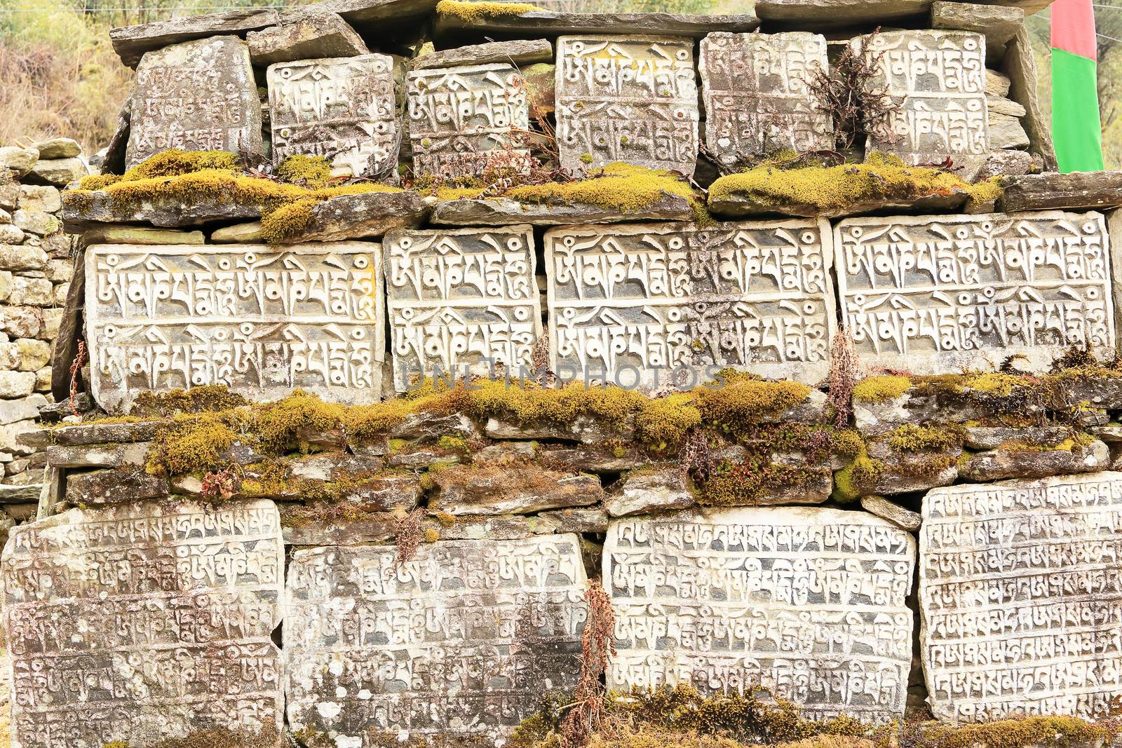Carved stone tablets prayer. Everest region, Himalayas, Nepal 